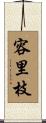 容里枝 Scroll