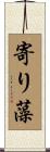 寄り藻 Scroll