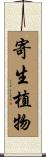 寄生植物 Scroll