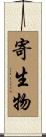 寄生物 Scroll