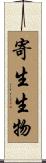 寄生生物 Scroll