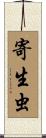 寄生虫 Scroll