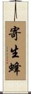 寄生蜂 Scroll