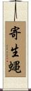 寄生蝿 Scroll