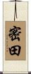 密田 Scroll
