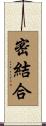 密結合 Scroll