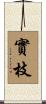 實枝 Scroll