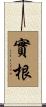 實根 Scroll