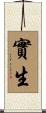實生 Scroll