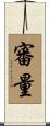 審量 Scroll