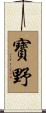 寳野 Scroll
