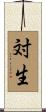対生 Scroll