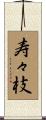 寿々枝 Scroll