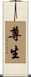 尊生 Scroll