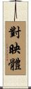 對映體 Scroll