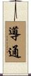 導通 Scroll