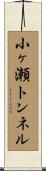 小ヶ瀬トンネル Scroll