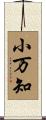 小万知 Scroll