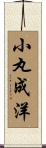 小丸成洋 Scroll