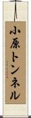 小原トンネル Scroll