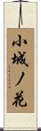 小城ノ花 Scroll