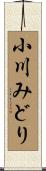 小川みどり Scroll