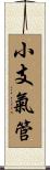 小支氣管 Scroll