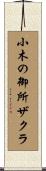 小木の御所ザクラ Scroll