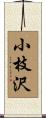 小枝沢 Scroll