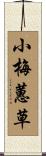 小梅蕙草 Scroll