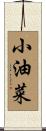 小油菜 Scroll