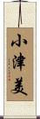 小津美 Scroll