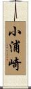 小浦崎 Scroll