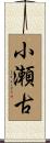 小瀬古 Scroll
