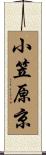 小笠原京 Scroll