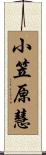 小笠原慧 Scroll