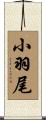 小羽尾 Scroll