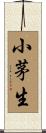小茅生 Scroll