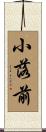 小落前 Scroll