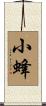 小蜂 Scroll