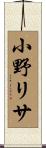 小野リサ Scroll