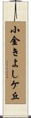 小金きよしケ丘 Scroll