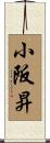 小阪昇 Scroll
