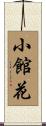 小館花 Scroll