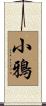 小鴉 Scroll