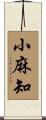 小麻知 Scroll