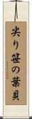 尖り笹の葉貝 Scroll
