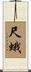尺蛾 Scroll