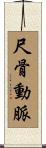 尺骨動脈 Scroll
