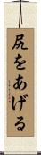 尻をあげる Scroll